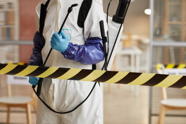 Professional Hoarding Cleanup technician working in Comfort, TX